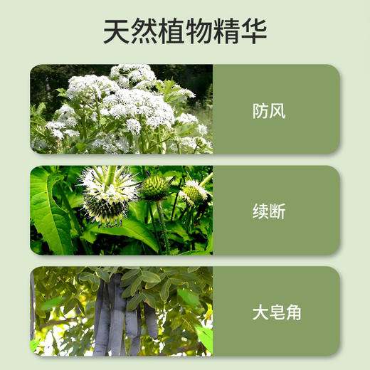 【买2液送1膏】兰渚堂自研 侧柏叶洗发水+发根涂抹膏 套装 添加侧柏叶防风续断大皂角 头皮养护洗发液发丝柔顺 商品图1