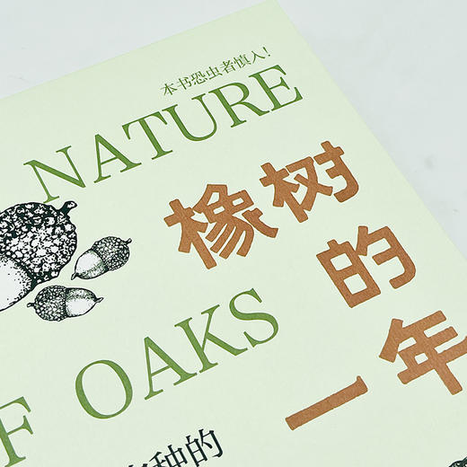 橡树的一年:北美本土物种的自然观察(自然观察丛书) 商品图3