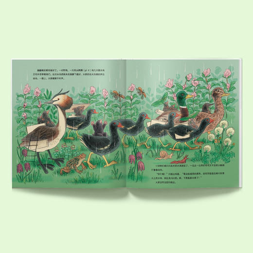 《大自然的魔法课》（全4册） 商品图2