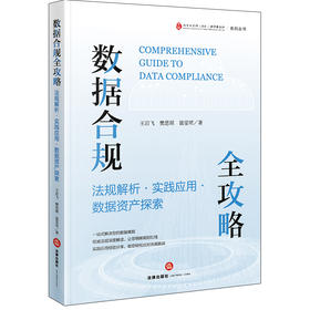数据合规全攻略：法规解析·实践应用·数据资产探索 王岩飞 樊思琪 聂雯珺著 法律出版社
