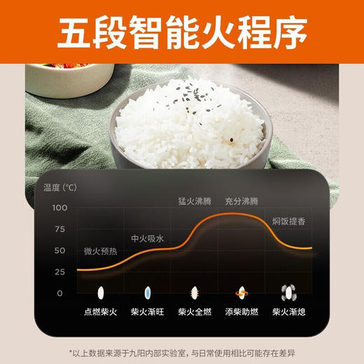 九阳  电饭煲4L F40FY-F855 商品图2
