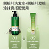 【买2液送1膏】兰渚堂自研 侧柏叶洗发水+发根涂抹膏 套装 添加侧柏叶防风续断大皂角 头皮养护洗发液发丝柔顺 商品缩略图2