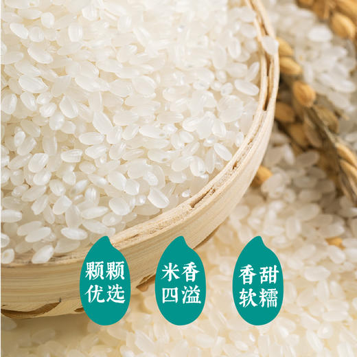 袁谷隆平芯米耐盐碱大米5kg东北大米盘锦粳米10斤真空装当季新米 商品图1