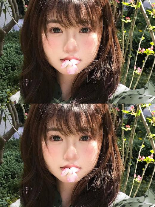 BENNYCAT  半年抛 交响曼陀罗 直径14.5mm着色14.0mm 商品图8