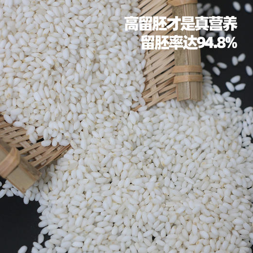 袁谷农场袁谷碱地有机胚芽米营养辅食粥优质大米500g小包装当季新米 商品图3