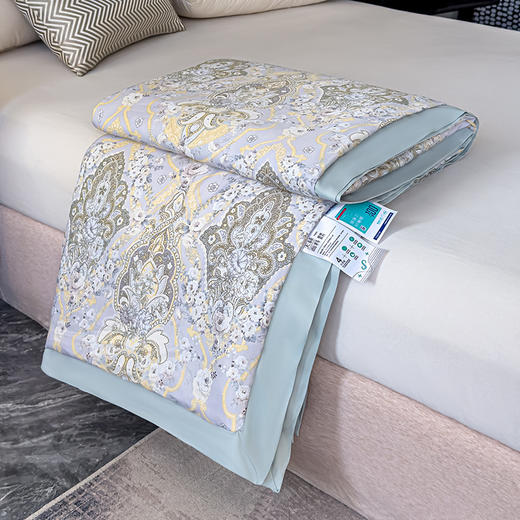 三泰龙 夏季新品莱赛尔天丝夏被印花可机洗夏凉被空调被1207 商品图1