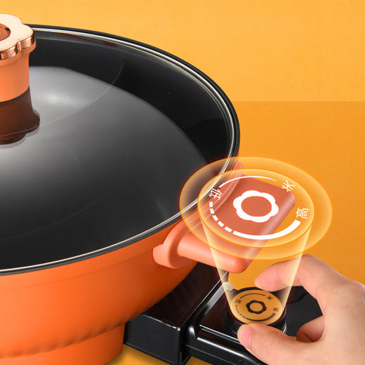 西屋（Westinghouse） 家用煮炸煎烹饪电火锅网红多功能电火锅鸳鸯锅WHG-1502F 商品图4