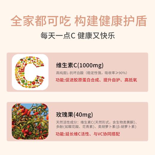 Felixburg维生素c1000mg玫瑰果片 100片/瓶 商品图1