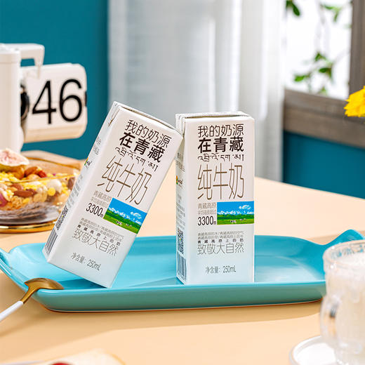 【光明&小西牛】青藏奶源盒装纯牛奶 全脂灭菌礼盒装纯牛奶 250ml*10盒/箱 商品图5