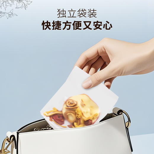 雷允上苹果山楂茶100g（10g*10包）/袋 商品图6