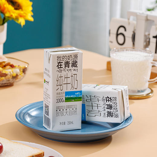 【光明&小西牛】青藏奶源盒装纯牛奶 全脂灭菌礼盒装纯牛奶 250ml*10盒/箱 商品图9