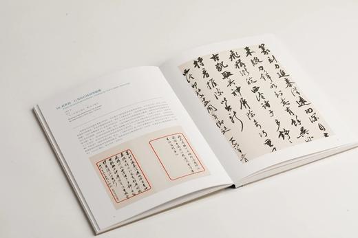 风月同天：赵朴初书法艺术撷英 上海博物馆 编 商品图7