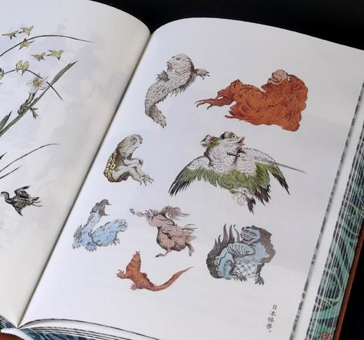 刷边特装：《纹样密语：东方装饰艺术全书》，精装，[法]尤金.维克多.科利诺著，九州出版社2025年4月一版一印，363页，定价98，售价88元。 商品图10