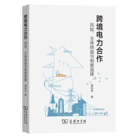 跨境电力合作：风险、主体损益与制度选择