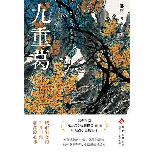 九重葛 商品图2