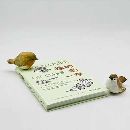 橡树的一年:北美本土物种的自然观察(自然观察丛书) 商品图1