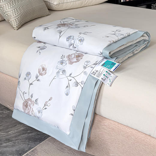 三泰龙 夏季新品莱赛尔天丝夏被印花可机洗夏凉被空调被1207 商品图3