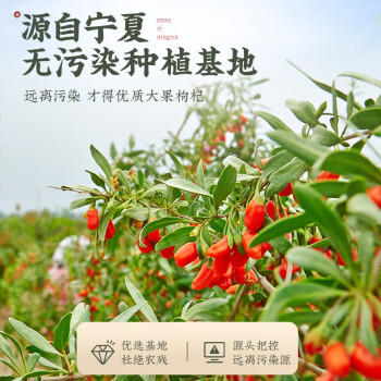 杞利元 枸杞 特优级枸杞 宁夏枸杞 头茬大果干货正宗宁夏大果泡茶500g  /传统滋补 /养生茶饮 /枸杞 商品图4