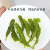 羽信绿毛峰茶叶500g 明前新茶浓香型一斤自饮袋装口粮绿茶 /水饮冲调 /茗茶 /绿茶 商品缩略图3