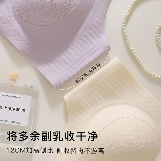 反重力提拉】时尚蕾丝小胸聚拢内衣女软支撑上托提拉防垂收副乳清风兰雪 商品图6