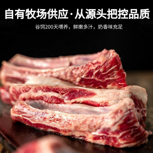 【顺丰发货】安格斯鲜牛腩 谷饲200天喂养 鲜嫩多汁 奶香味充足 商品图0
