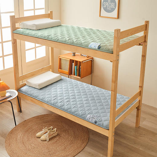 自然醒氧乐棉抗菌三明治加厚学生床垫垫褥软垫家用褥子垫背宿舍榻榻米垫子褥子LN 商品图7