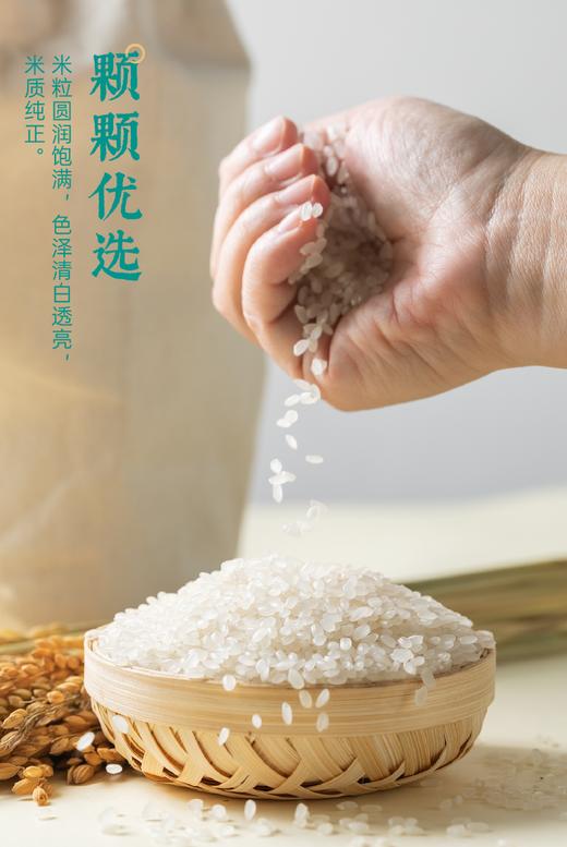 袁谷农场耐盐碱有机加东北晶米组合装共10kg吃饱吃好组合一年一季2025新米盘锦碱地大米20斤拍下有限量赠品先购先得 商品图5