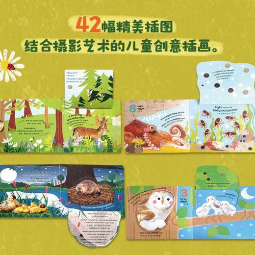 DK翻翻书:谁藏在后面(全4册) 商品图3