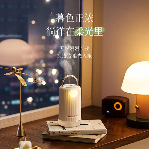 大宇 香薰机家用香氛雾化扩香持久高级家用车载卧室厕所卫生间除臭 商品图2