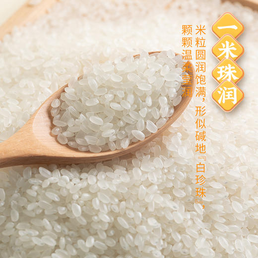 【走娃官方指定合作产品】袁谷碱地二米饭2.5kg盘锦圆粒米五常玉米糁二米饭软糯清香5斤装赠同款300g 商品图5