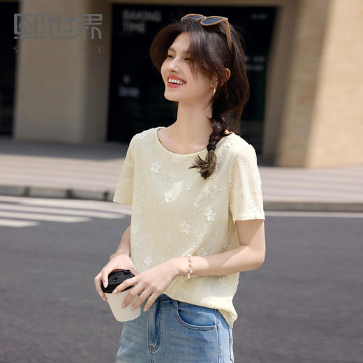 熙世界轻薄仿天丝刺绣雪纺衫女夏季气质短袖圆领T恤小衫2025新款 商品图0