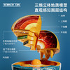【探索地球46亿年历史故事】科学罐头地心探索科普地球仪模型启蒙3d立体悬浮点读AR智能语音 商品缩略图1
