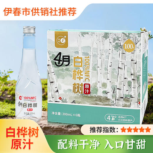 【忠芝】4月白桦树原汁 白桦汁原液无添加自然植物饮料整箱 商品图0