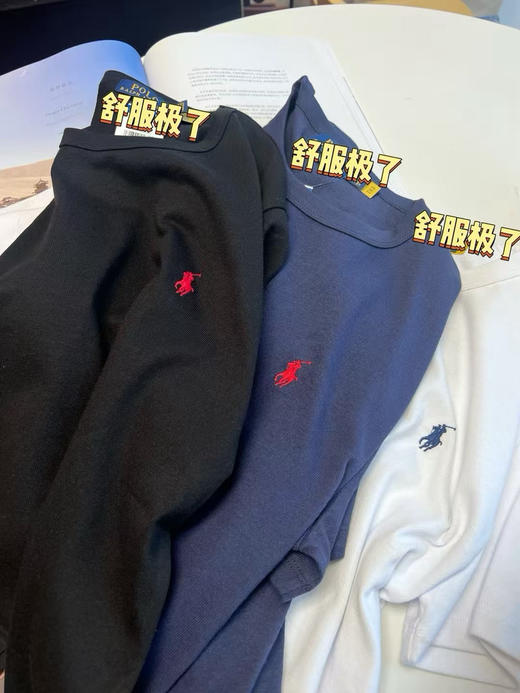 拉fu劳伦经典版型男士 T 恤 商品图9