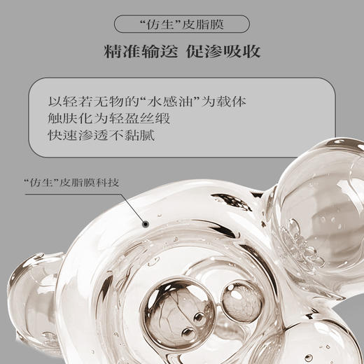 第十四章跨世纪X88昼夜美白精华油45粒 商品图4