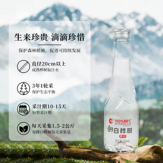 【忠芝】4月白桦树原汁 白桦汁原液无添加自然植物饮料整箱 商品图2