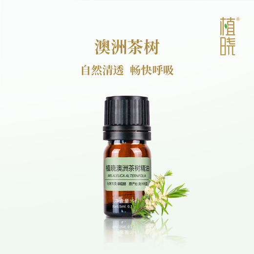 植晓 澳洲茶树精油 5ml 商品图0