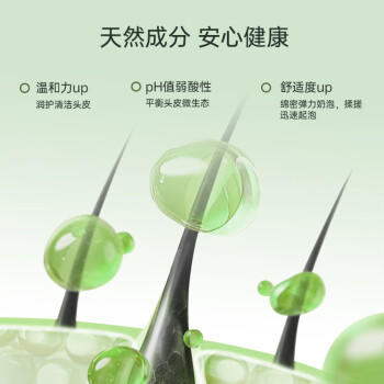 舒蕾茶树控油洗发水530g去屑蓬松 清爽舒爽 男女士洗头膏 国货洗发露 商品图5