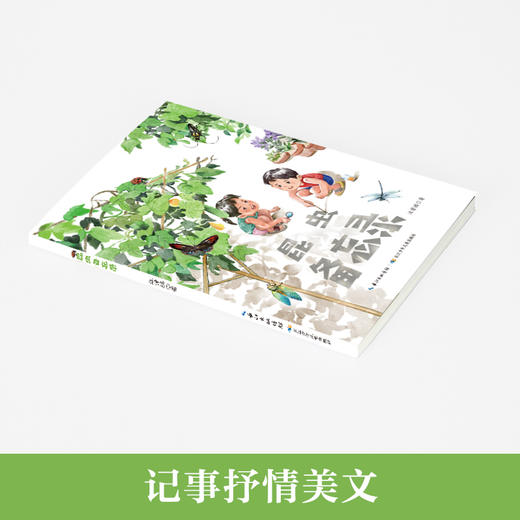 昆虫备忘录 商品图2