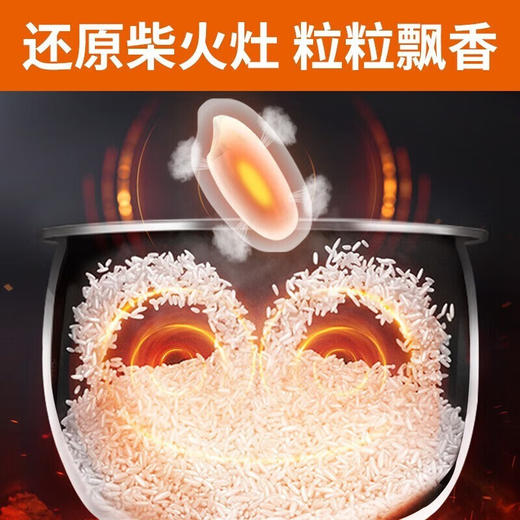 九阳  电饭煲4L F40FY-F855 商品图1