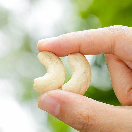 北纬纯净食品|38°越南原味生腰果仁不添加坚果零食送礼250g 商品图3