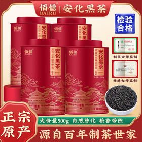 佰儒 黑茶安化黑茶金花茯茶陈香熟茶茶叶口粮茶罐装茶叶500g