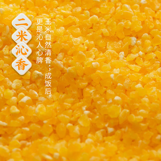 【走娃官方指定合作产品】袁谷碱地二米饭2.5kg盘锦圆粒米五常玉米糁二米饭软糯清香5斤装赠同款300g 商品图2