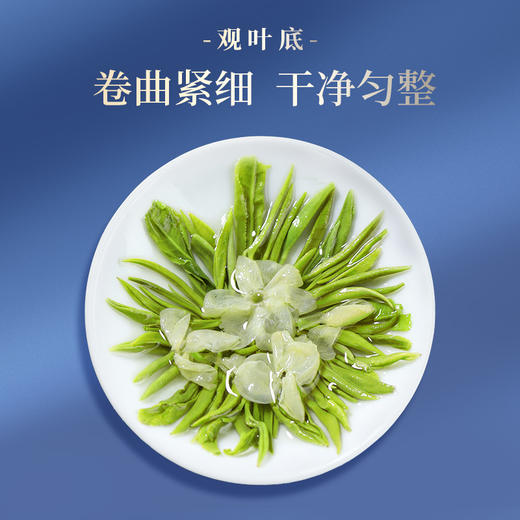 川红茶叶 林湖飘雪特级茉莉花茶2025新茶浓香型耐泡口粮茶罐装125g 商品图4