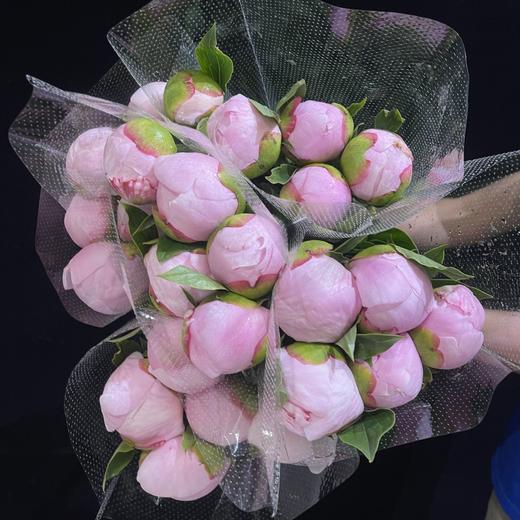 进口品种天使脸颊芍药花1支 商品图9