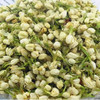 阿比该茉莉花 商品缩略图2