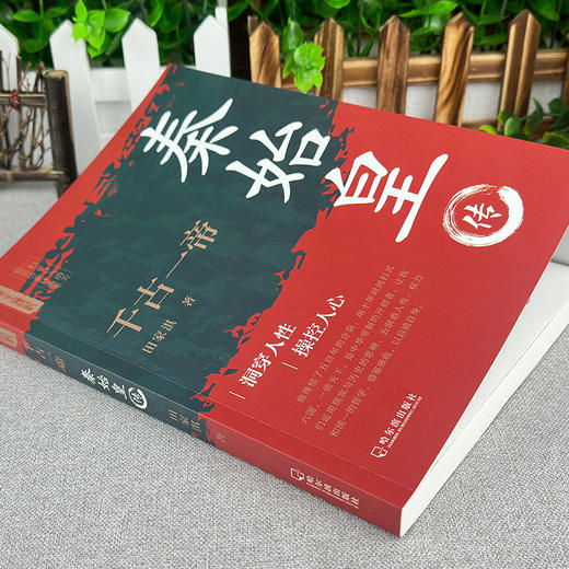 千古一帝:秦始皇传 商品图1