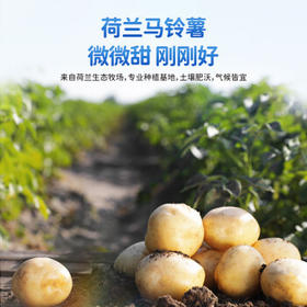 小鹿蓝蓝彩虹果蔬小馒头宝宝儿童零食饼干溶溶豆儿童易吞咽小饼干160g