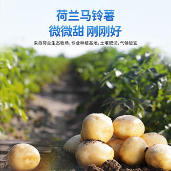 小鹿蓝蓝彩虹果蔬小馒头宝宝儿童零食饼干溶溶豆儿童易吞咽小饼干160g 商品图0