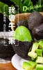 秘鲁即食牛油果🥑(13.8元1盒2个)，明日到 商品缩略图1